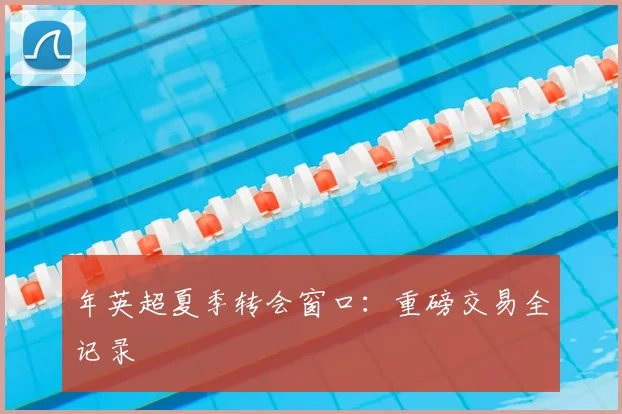年英超夏季转会窗口：重磅交易全记录